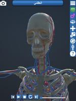 التشريح - أجهزة جسم الإنسان 3D تصوير الشاشة 3