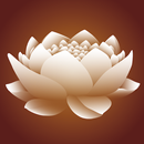 Yoga Nidra Relax aplikacja