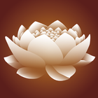 Yoga Nidra Relax ikona