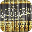 تفسير ابن عاشور المسمى التحرير APK