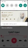 Holy Quran by Khalid Al Jalil  screenshot 3