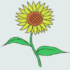 Menggambar Bunga Matahari icône