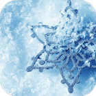 Snowflakes Live Wallpaper Pro icône
