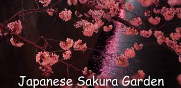 Japanese Sakura Garden Video W