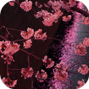 Japanese Sakura Garden Video Wallpapers Gallery APK