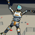 Space Ragdoll 2020