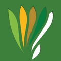 VitalGroup