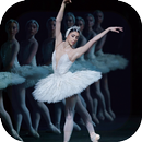 Ballet Lessons Guide at Home APK