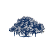 My IIIT icon