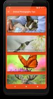 Photo Tips Photography PRO Plakat