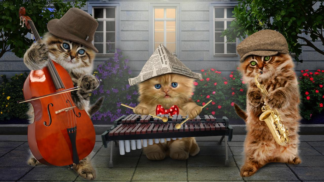 Кота музыкальные инструменты. Котики с музыкальными инструментами. Кот с саксофоном. Кот с музыкальным инструментом. Котик музыкант.