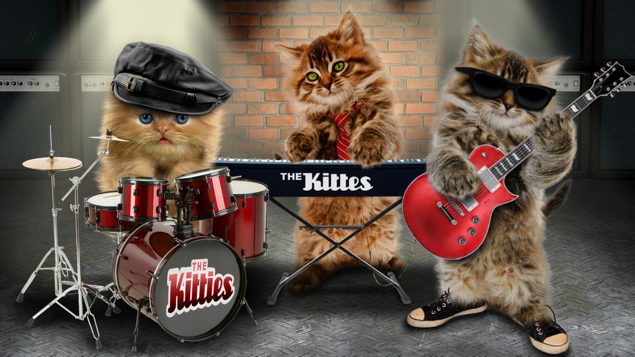 День рождения кота песня. Коты музыканты. Котик поет. Животные с музыкальными инструментами. Котики с музыкальными инструментами.