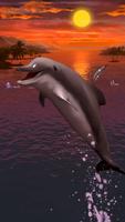 Dolphins live wallpaper پوسٹر