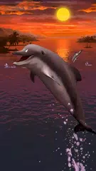 Dolphins live wallpaper APK download
