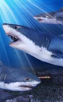 Shark hồ cá. ảnh chụp màn hình 1