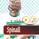 SPINALL Songs Mp3 APK