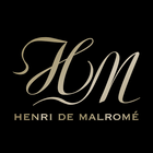HDM أيقونة