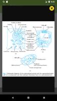 1 Schermata Biology Dictionary Ultimate