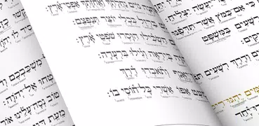 Tanach | Tora (Engl-Hebräisch)