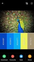 Color Combination screenshot 2