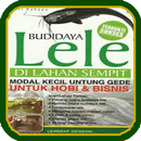 Catfish Cultivation APK