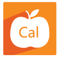 Calorie Counter