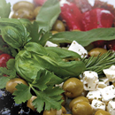 Beginner's Guide & Cookbook To Mediterranean Diet APK