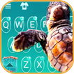 Thème de clavier Turtle Blue S