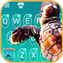 Thème de clavier Turtle Blue S APK