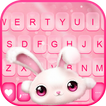 خلفية الكيبورد White Cute Bunn
