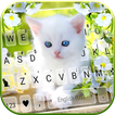 тема White Cute Kitty