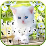 тема White Cute Kitty иконка