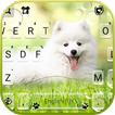 خلفية الكيبورد White Cute Puppy