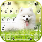 خلفية الكيبورد White Cute Puppy أيقونة