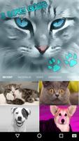 Love Cats स्क्रीनशॉट 3