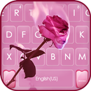Hình nền bàn phím Aesthetic Pi APK