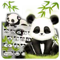 Baby Panda