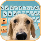 Teclado Big Nose Puppy ícone