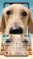 Teclado Big Nose Puppy Cartaz