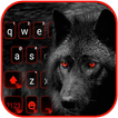 Black Wild Wolf Keyboard Backg