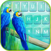 Fundo do Teclado Blue Macaw