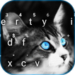 Thème de clavier Blue Eye Kitt