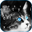 Thème de clavier Blue Eye Kitt APK