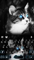 Poster Blue Eye Kitty Cat