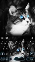 Blue Eye Kitty Cat poster