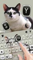 Cat Thumbs Up Tastaturhintergr Screenshot 1