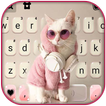 Cool Cat Klavye Arkaplanı