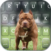 Fond de clavier Cool Pitbull