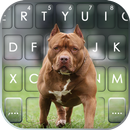 Cool Pitbull Fondo de teclado APK