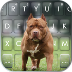 Fundo do Teclado Cool Pitbull ícone